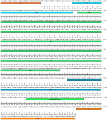 Alternative splicing derived invertebrate variable lymphocyte receptor displays diversity and specificity in immune system of crab Eriocheir sinensis